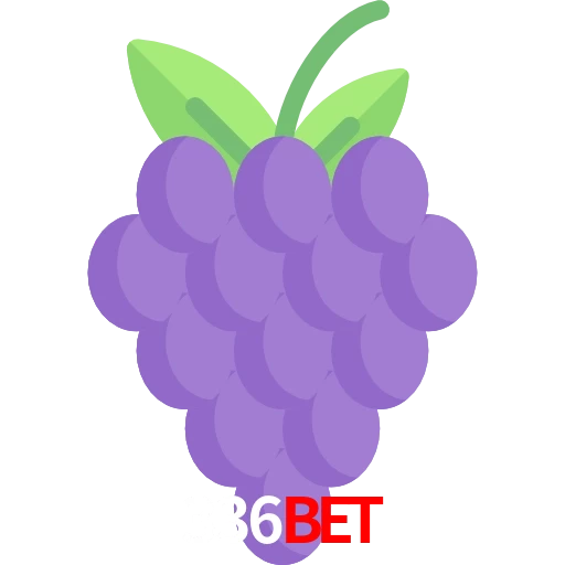 336Bet